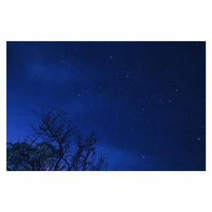 黄瓜视频免费在线观看
