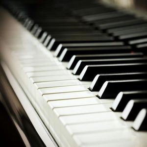 人禽互交50篇视频
