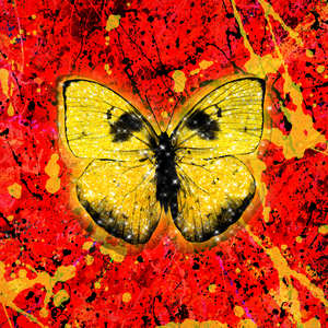 俄罗斯大毛逼AⅤ女优黄色录像
