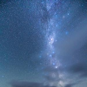 特级裸体毛毛片
