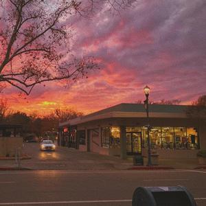 羞羞网站免费看
