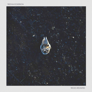 暧暧视频在线免费观看
