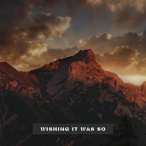 我是魅魔的忠实仆人第二集
