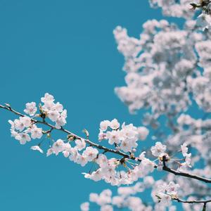 女人脱精光自慰幼女
