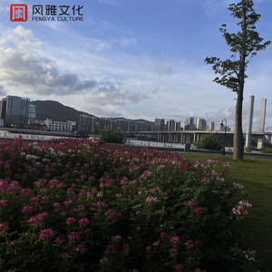 暧暧视频在线免费观看
