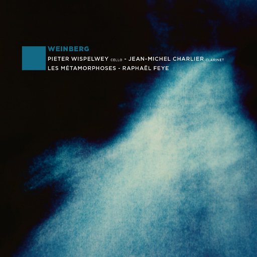 暧暧视频在线免费观看
